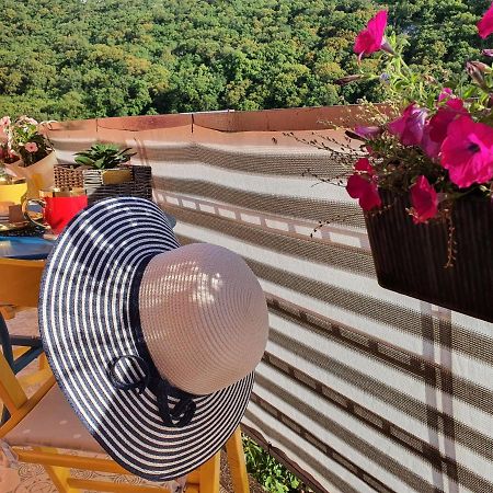 Apartman Bake Milke Senj  Buitenkant foto