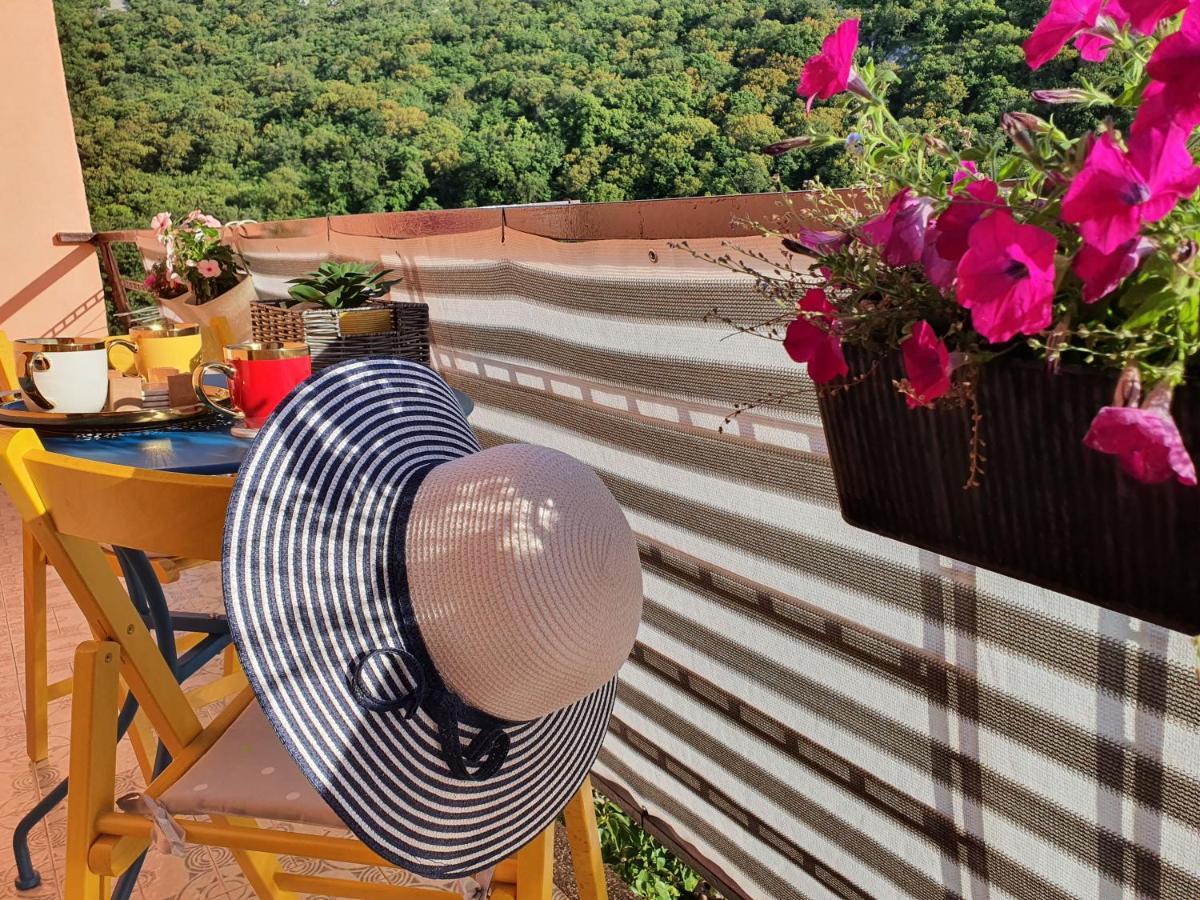 Apartman Bake Milke Senj  Buitenkant foto
