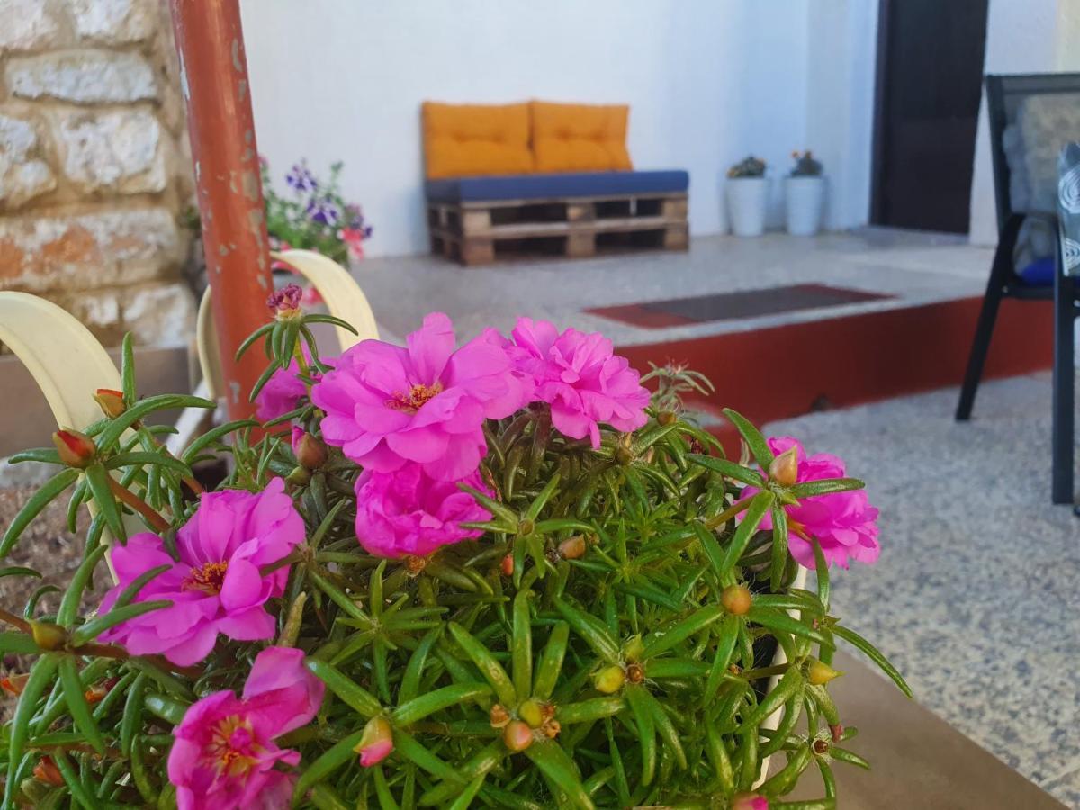 Apartman Bake Milke Senj  Buitenkant foto