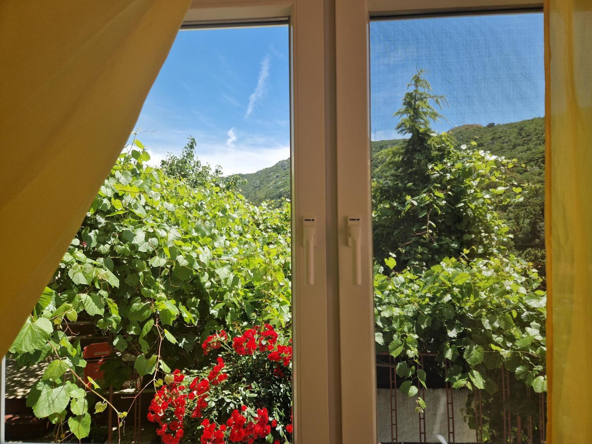 Apartman Bake Milke Senj  Buitenkant foto